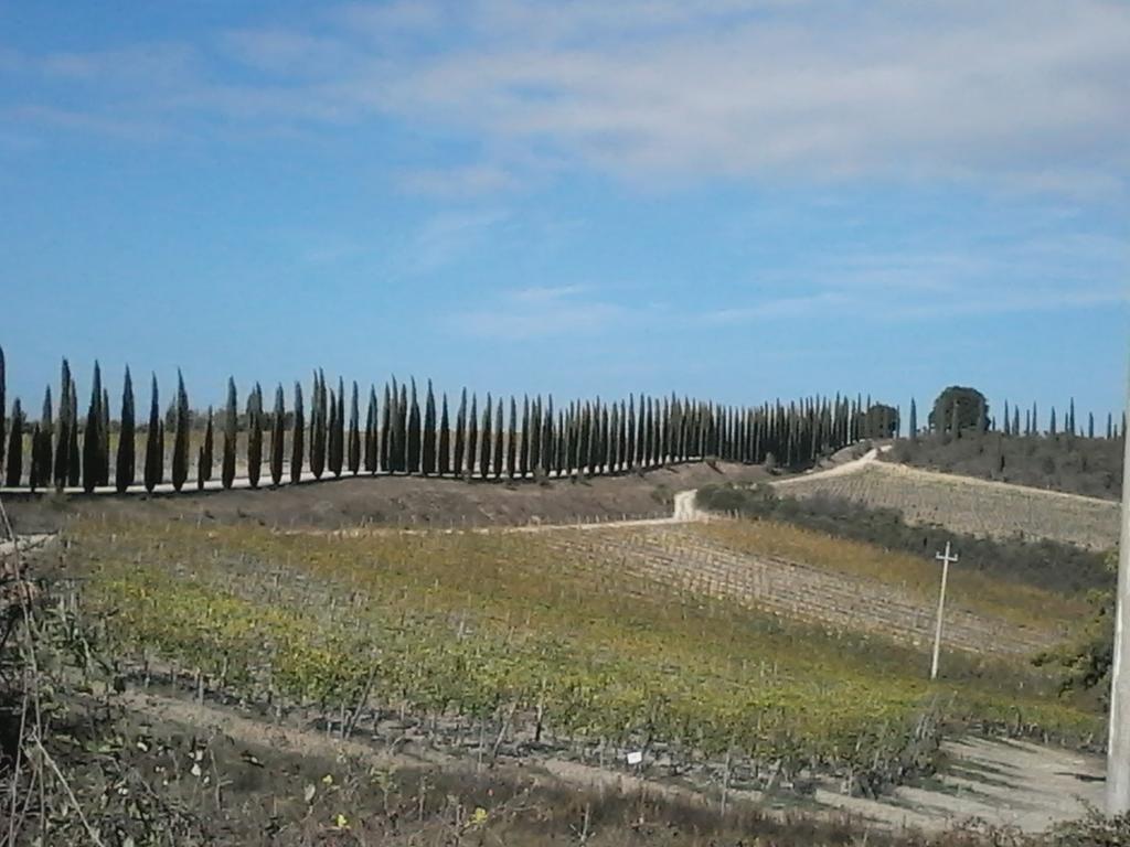 Cisterna Nel Borgo 호텔 카스틸리오니도르시아 외부 사진